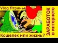 КАК НЕ НАДО ЗАРАБАТЫВАТЬ В ИНТЕРНЕТЕ: КОШЕЛЕК ИЛИ ЖИЗНЬ?