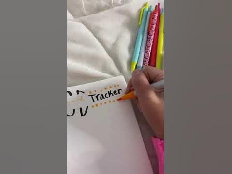 Mood Tracker Tiktok 1bullet journal - YouTube