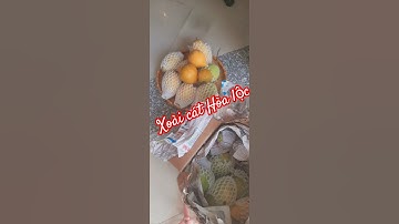 XOÀI CÁC HÒA LỘC & QUẢ HỘT GÀ #fruit #shortvideo #mango #mientay