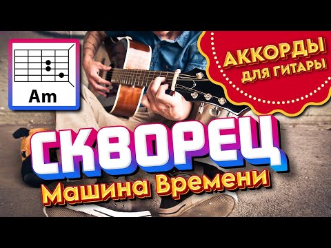 СКВОРЕЦ - МАШИНА ВРЕМЕНИ (АККОРДЫ И ТЕКСТ - В ОПИСАНИИ) КАК ИГРАТЬ (ПРОСТАЯ ПЕСНЯ НА ГИТАРЕ) COVER 🎸