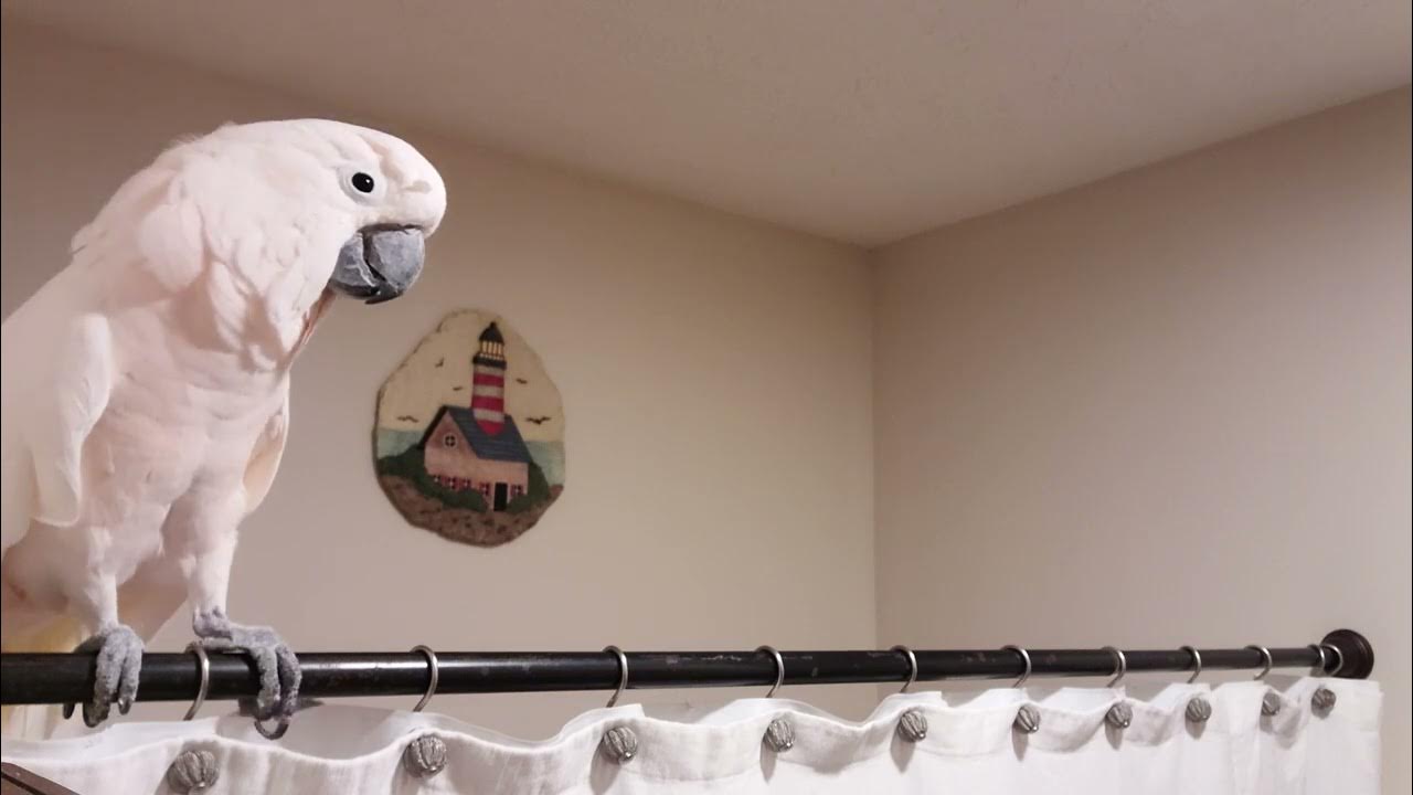 Shower & Conversation Time YouTube