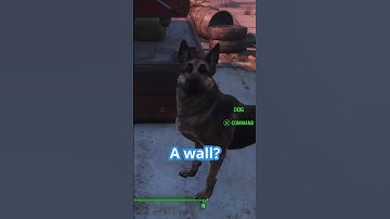 DOGMEAT FOUND SOMETHING  - Twitch moments #fallout #falloutlore #fallout4 #gaming #fo4 #funny