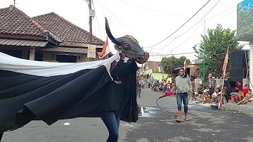 Bantengan rogo sukmo sejati macan putih live sumber gayam