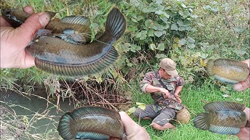 Đi câu cá lóc vây xanh - Quá bất ngờ với thành quả của con suối nhỏ ở điểm câu mới. Suối Reo 26.