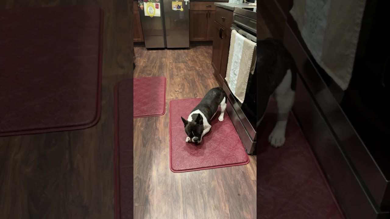 It’s the little things in life #cute