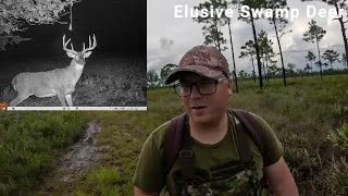 SCOUTING for the ELUSIVE Florida SWAMP Deer