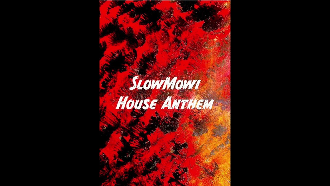 Slow Mow I - Rennes by night ft Roolio house anthem 2023 rennes france