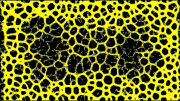 Physarum slime simulation