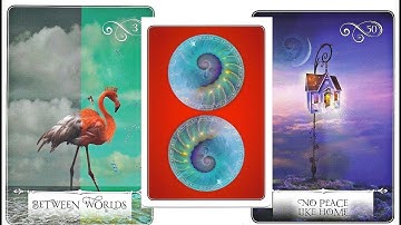 WISDOM of the ORACLE - full flip through