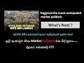 Market Pullback එක සිද්දවුනා ඊළගට මොකක්ද | The Cyclone Triggered the stock market pullback
