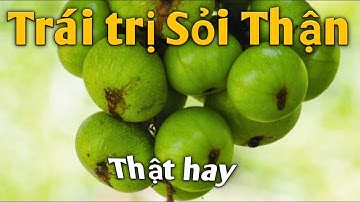 Bài thuốc trị Sỏi Thận thật hay. PHAN HẢI channel.