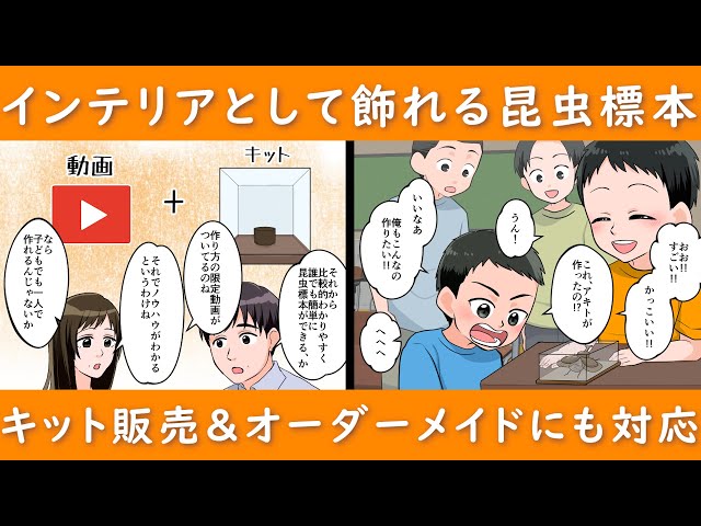 2024年大注目の昆虫標本キット】本格的な標本を自分で自宅で