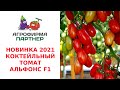 НОВИНКА 2021! КОКТЕЙЛЬНЫЙ ТОМАТ АЛЬФОНС F1