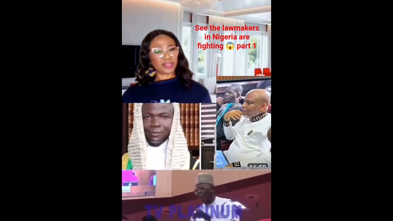 See The lawmakers in Nigeria are fighting 