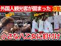 2026.5.10【京都観光】外国人観光客も息を呑んだ…今宮祭の愛らしい“八乙女舞”と神輿巡行の伝統がレベチすぎ…今宮神社 #京都 #tourist #京都観光