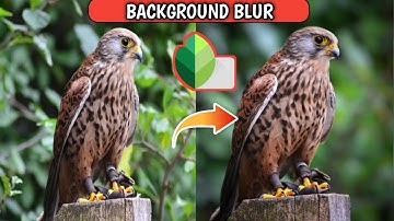 Blur Background With Snapseed | Turn mobile camera photo into DSLR camera using Snapseed Application