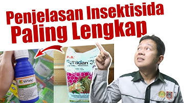 Penjelasan Terlengkap Insektisida Yang Wajib Petani Ketahui | Pestisida Racun Hama Pertanian