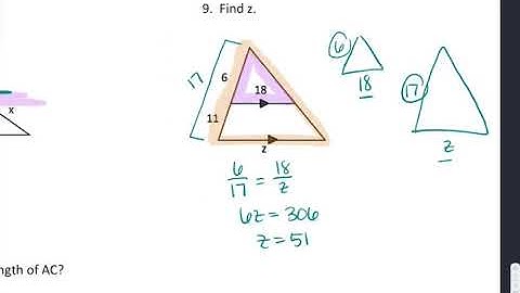 PAP Unit 6 Review Video