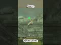 👀 Almost missed it… Korok revealed! 🌿✨