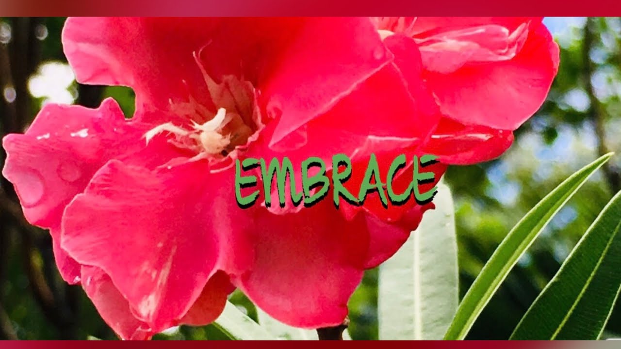 Sappheiros Embace Non Copyright Song Calm Music Nej S Page Youtube