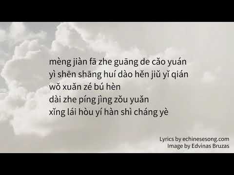 Show Luo - Grey Dimension (pinyin lyrics)