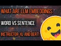 What is positional encoding how to use word and sentence embeddings with bert and instructorxl