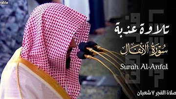 تلاوة عذبة لفواتح سورة الأنفال للشيخ د. عبدالله القرافي ~ صلاة الفجر 7 شعبان 1446هـ