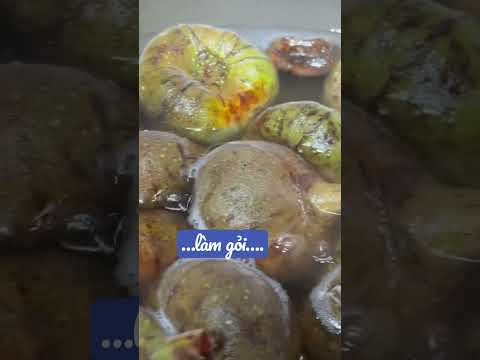 Video TRÁI VẢ…luộc làm gỏi lần đầu tiên…nhớ đón xem YouTube... - youtube