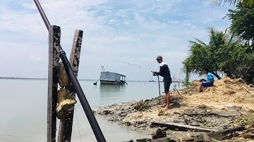 Câu cá ngát sông Soài Rạp, phía sau cảng Tân Tập Long An