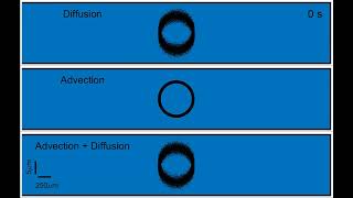 Celebrity Taylor dispersion effect in microfluidic mixing Wealth