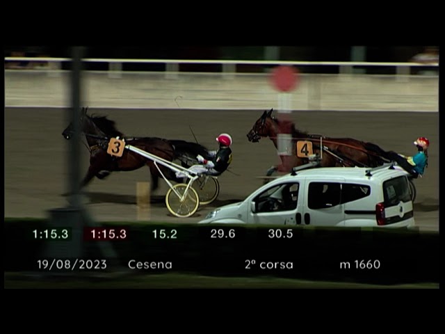 2023 08 19 | Corsa 2 | Metri 1660 | Premio Cavalier Riccardo Gualdani