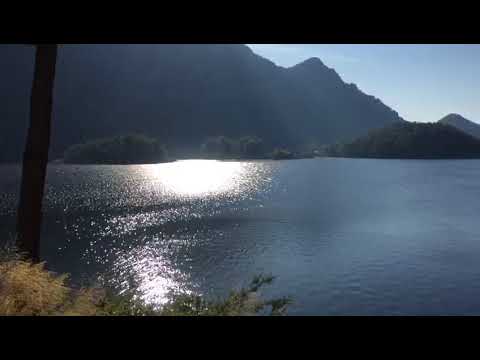 Evgeny Grinko Field Peace 