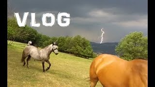 //VLOG// vyjížďka bez sedel k potoku
