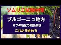 【ソムリエ試験対策】ブルゴーニュ地方　フランス