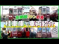 【初潜入!】館長と一緒に桂車庫に行ってみたら、京都線を代表する車両たちがお出迎えしてくれました!【館長は電車とお友達】