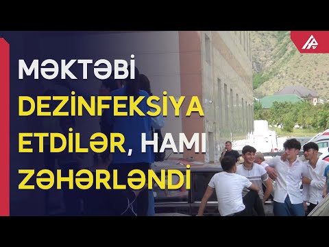 Video: Rezin əleyhinə döşək