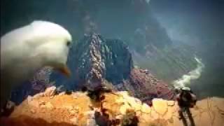 Aflac  The Grand Canyon 2002 Usa