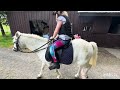 Facts about my pony Kirsty and a hack in The Scottish Borders.