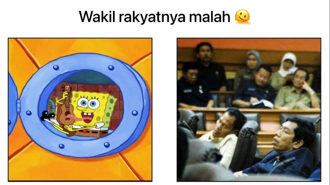 Kelakuan wakil rakyat 🧐🧐 [meme] - YouTube