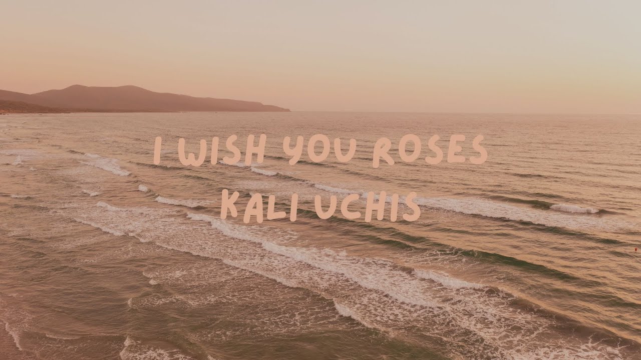 [1 Hour] Kali Uchis - I Wish you Roses