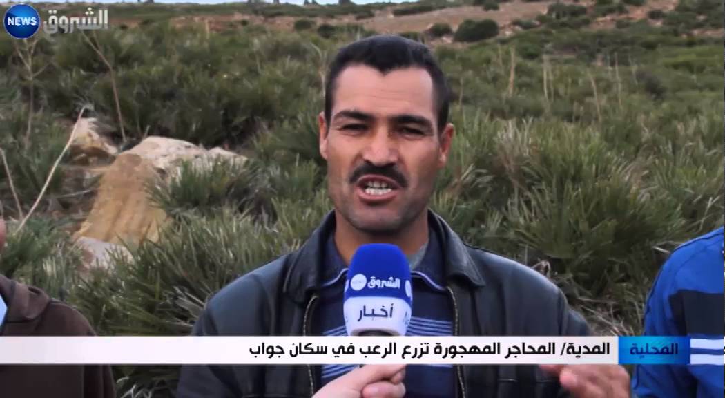 المدية: المحاجر المهجورة تزرع الرعب في سكان جواب