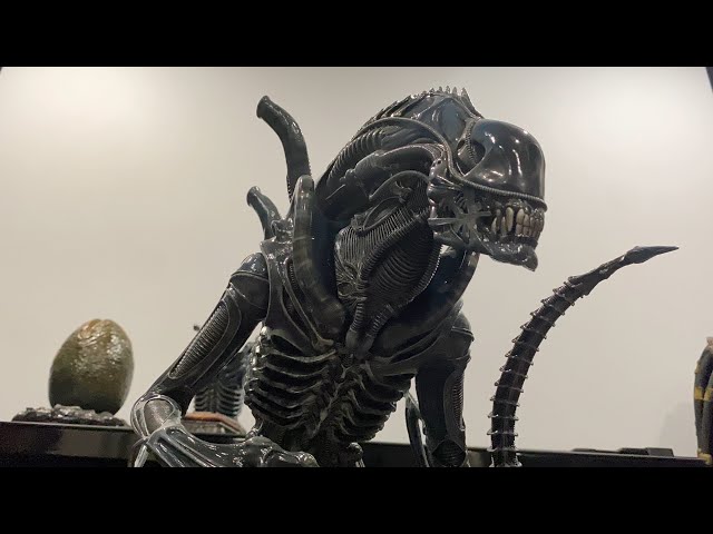 Prime 1 Studios Alien Warrior Deluxe DXS Statue Review - YouTube