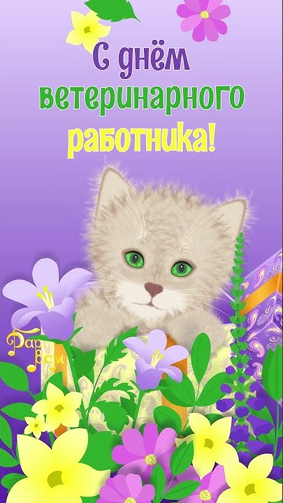 С днем ветеринарного работника! Музыкальная видео открытка. - YouTube