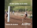 Muerte de caballo del el don judas vs la lolis 275 mts