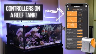 Aquarium Controllers - Are they Useful Checking out my Apex Controller System