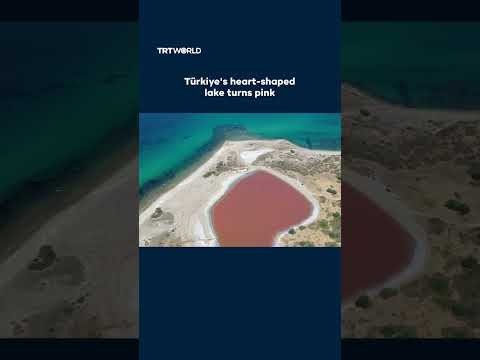 Pink Lake in Türkiye's Canakkale attracts sightseers as temperatures rise