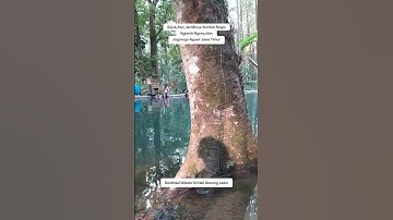 SUMBER NOGO. Konon, Disinilah Ekor Dari Ular Berkepala Naga #viral #indonesia #sejarah #dongeng #fyp