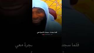 أفضل دعاء عند السجود ☝️🌸 الشيخ بدر المشاري