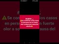 alerta 😂🤣😂