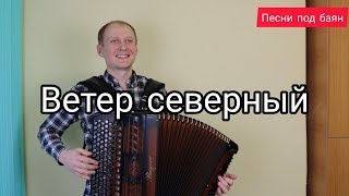 Ветер северный. Песни под баян. #баянист_Евгений_Попов